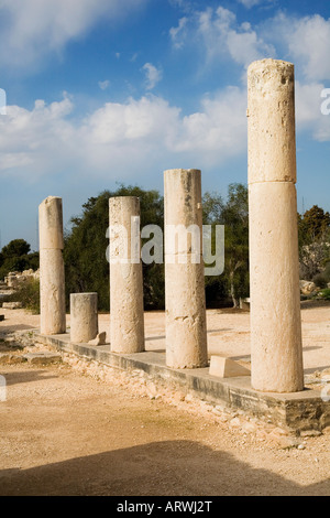 Le sanctuaire d'Apollon Hylates à Kourion Banque D'Images