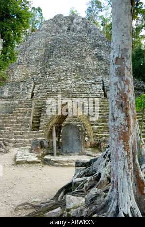 Templo de las Iglesias ou temple de l'Église Pyramide stèle et Tronc Coba Maya Ruins Quintana Roo Mexique 2007 NR Banque D'Images