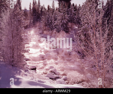 Sébaste Creek dans la zone de Sawtooth National Recreation en Idaho passe par des rochers neige sur un froid matin d'hiver Banque D'Images