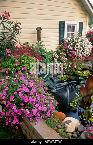 Et la vague déferlante pétunias, cannas, lauriers-roses et jacinthes entourent petit étang et CASCADE DANS LE JARDIN. Juillet. Banque D'Images