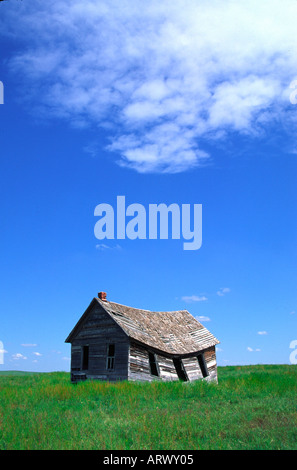 Abandonnée un pièce avec murs et toiture affaissée sur l'Est des Prairies du Colorado par un beau jour de printemps Banque D'Images