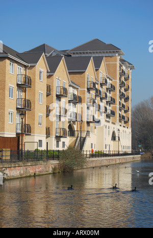 Appartements modernes au bord de la rivière, canal Kennet & Avon, Reading, Berkshire, Angleterre, Royaume-Uni Banque D'Images