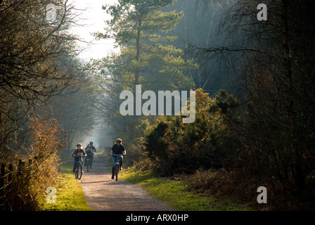 Royal Valley Cannop Forêt de Dean Gloucestershire UK cyclistes sur la piste de l'Pedalabikeaway Cycle Center Banque D'Images