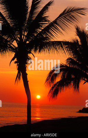 Mexique Puerto Vallarta beau coucher du soleil Orange Silouted de palmiers et de plage sur l'Océan Banque D'Images