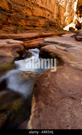 L'eau sculpte loin rock sur le Patio de Deer Creek un canyon sur la rivière Colorado, dans le Parc National du Grand Canyon en Arizona Banque D'Images
