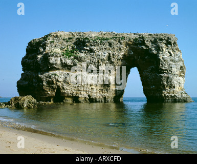 Arche de roche naturelle à travers une mer pile ; Marsden Rock, South Shields, Tyne and Wear, England, UK. Banque D'Images