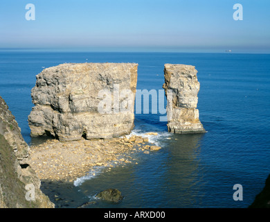 Arch Rock naturel s'est effondré à travers une mer pile ; Marsden rock, près de South Shields, Tyne and Wear, England, UK. (Pré-effondrement & arxd arxd04 pic2d) Banque D'Images