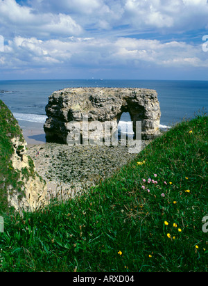 Arche de roche naturelle à travers une mer pile, avant son effondrement ; Marsden rock, South Shields, Tyne and Wear, England, UK. (Post effondrement arxd pic00) Banque D'Images