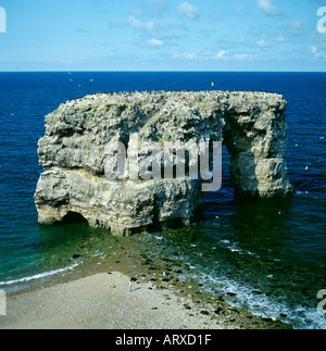 Arche de roche naturelle à travers une mer pile ; Marsden Rock, South Shields, Tyne and Wear, England, UK. Banque D'Images