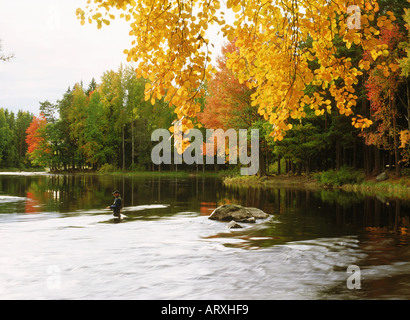 L'homme pêche de mouche sur la rivière Dal près de Gysinge, la Suède à l'automne Banque D'Images