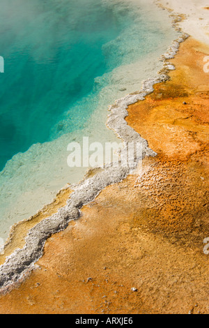 Piscine cristalline Hot spring avec orange les cyanobactéries colonies le long bord de dépôts de frittage Banque D'Images