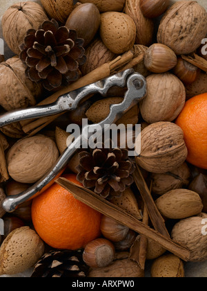 Noix mélangées satsumas des bâtons de cannelle et l'écrou crackers Banque D'Images
