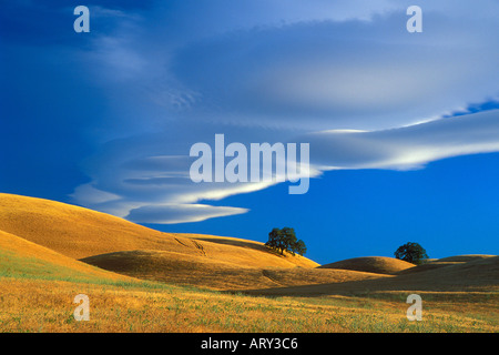 Les nuages au-dessus de spectaculaires collines d'or parsemé de chênes du nord de la Californie Banque D'Images