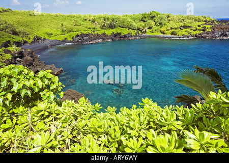 L'eau claire à Waianapanapa State Park, Maui. Banque D'Images