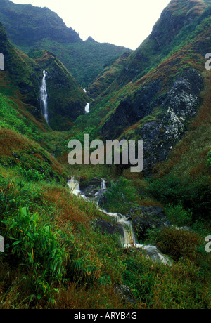 Une forte pluie de enflés, cette belle montagne Koolau flux peut être vu le long du sentier partant de la célèbre Banque D'Images