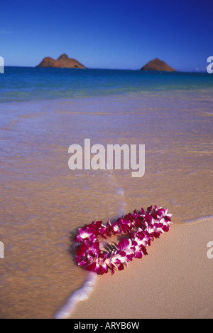 Une belle orchid lei s'installe doucement sur le sable chaud de la plage Lanikai, Oahu. Mokulua islands en arrière-plan. Banque D'Images