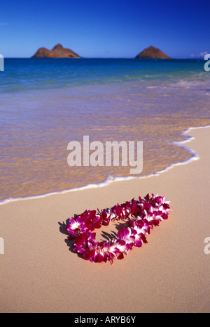 Une belle orchid lei s'installe doucement sur le sable chaud de la plage, De Lanikai Oahu. Mokulua islands en arrière-plan. Banque D'Images