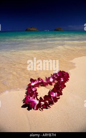 Une belle orchid lei s'installe doucement sur le sable chaud de la plage Lanikai, Oahu. Mokulua islands en arrière-plan. Banque D'Images