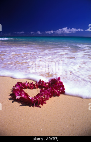 Une belle orchid lei s'installe doucement sur le sable chaud d'une plage hawaïenne. Banque D'Images