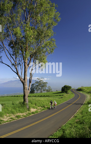 Autoroute à Kula Maui de l'arrière-conducteurs (cyclistes donne dans cette photo) l'occasion de découvrir un taux élevé, vue panoramique Banque D'Images