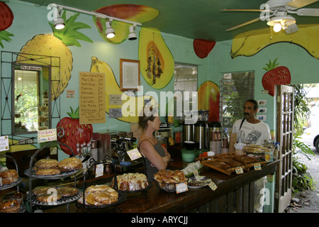 Boutiques de cadeaux et des pittoresques cafés inviter conduite touristique le long de la célèbre route de Hana, Maui Banque D'Images