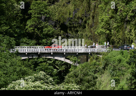 Des virages en épingle, des cascades, des paysages à couper le souffle et les pilotes attendent le long de la célèbre route de Hana, Maui Banque D'Images