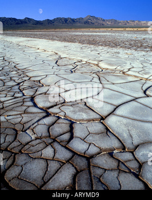 USA - Californie : Bristol Dry Lake près de Amboy Banque D'Images