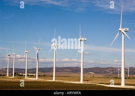 Les sauveurs de l'environnement Eoliennes Tarifa Cadiz Andalousie Espagne Banque D'Images