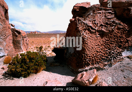 Valle de las Rocas Bolivie Banque D'Images