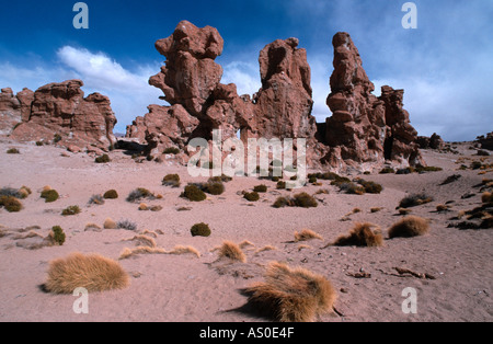 Valle de las Rocas Bolivie Banque D'Images