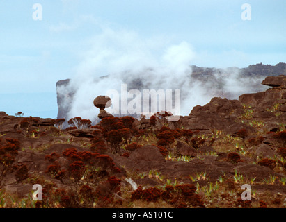 Sommet du Mont Roraima dans les nuages, Gran Sabana, South Venezuela Banque D'Images