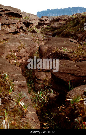 Sommet du Mont Roraima Gran Sabana South Venezuela Banque D'Images