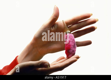 Woman's hands holding superstitieux bonne chance le lapin rose pied en silhouette sur fond blanc Banque D'Images