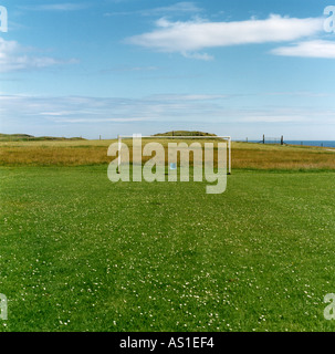 Terrain de soccer dans le domaine Banque D'Images