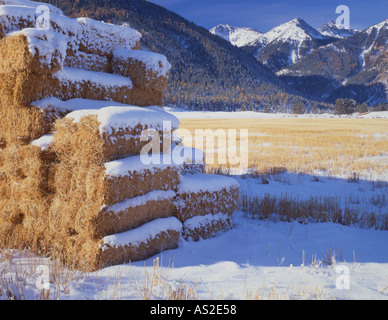 S de l'Oregon et de la vallée de Wallowa bottes de foin dans les champs d'automne Banque D'Images