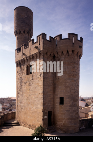 Olite, Palacio de los Reyes de Navarra, Torreon del Castillo Banque D'Images