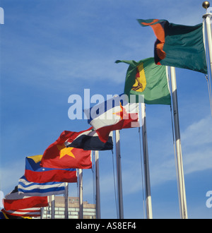 Siège de l'Organisation des Nations Unies avec les drapeaux dans la ville de New York Banque D'Images