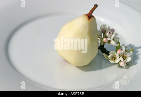 Poires pelées dessert sur assiette, décoré de fleurs de poire Banque D'Images