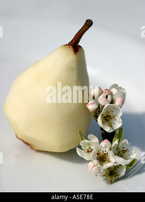 Pelés, dessert poire sur la porcelaine blanche, la plaque avec la jolie fleur de poire Banque D'Images