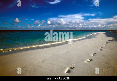 Plage avec des empreintes de Velassaru Maldives Banque D'Images