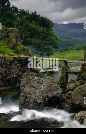 Sur la chute d'Afon Cwn Llançà River North Wales Snowdonia UK Banque D'Images