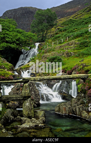 Sur la chute d'Afon Cwn Llançà River North Wales Snowdonia UK Banque D'Images