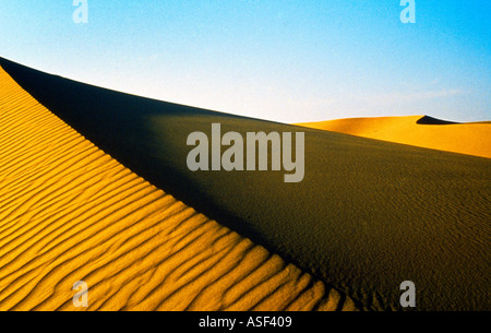 Les dunes de sable du désert de l'Arabie Saoudite Banque D'Images
