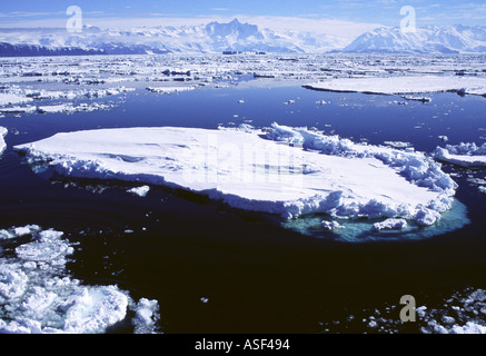Glace de mer à Cap Hallett Terre Victoria mer de Ross en Antarctique Banque D'Images
