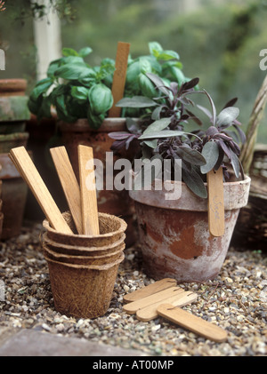 Dans un banc de rempotage ou d'hiver, notamment une sélection d'herbes cultivées de plus en pots de terre cuite Banque D'Images