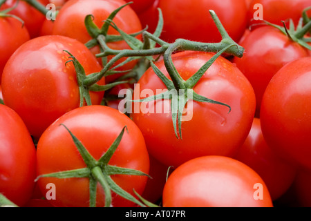 Les tomates de vigne en vente sur un étal de fruits et légumes sur le marché de Bury Banque D'Images