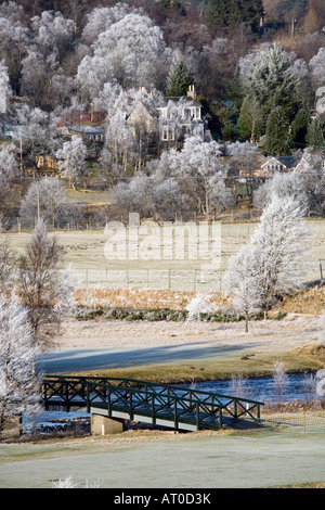Le givre sur les arbres gelés au bord de la rivière; la rivière Clunie et les bouleaux déglacés. Froid janvier paysages d'hiver à Braemar, Aberdeenshire, Écosse, Royaume-Uni Banque D'Images
