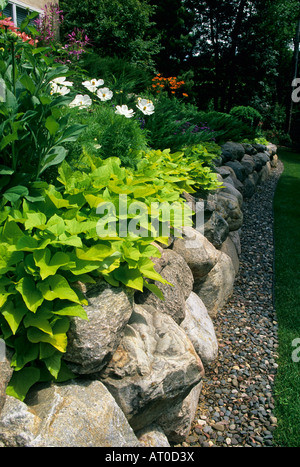 Mur BOULDER DANS LE MINNESOTA TIERED JARDIN AVEC SWEET POTATO VINE ET SONATE COSMOS blanc de juillet. Banque D'Images