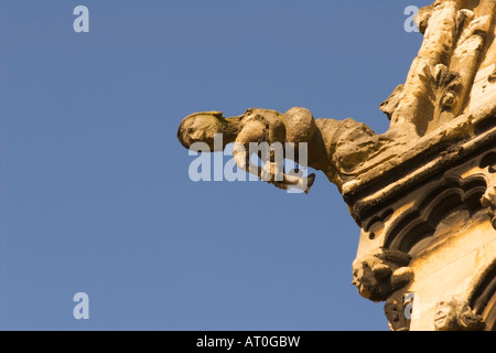 Gargoyle on Lincoln Cathedral, Lincoln Cathedral, Lincoln, Lincolnshire, Angleterre. Banque D'Images