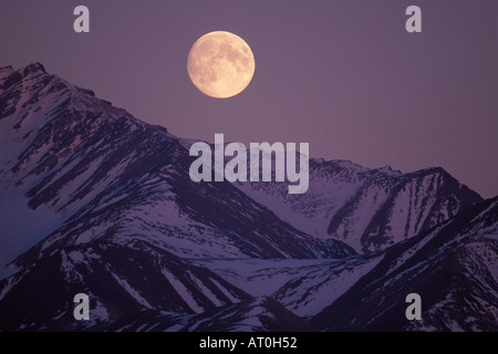 La chaîne de Brooks et versant Nord dans l'Arctic National Wildlife Refuge (ANWR plaine côtière 1002 Banque D'Images